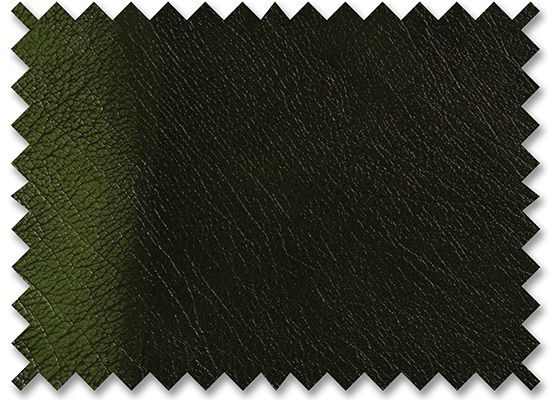 Birch Antique Green
