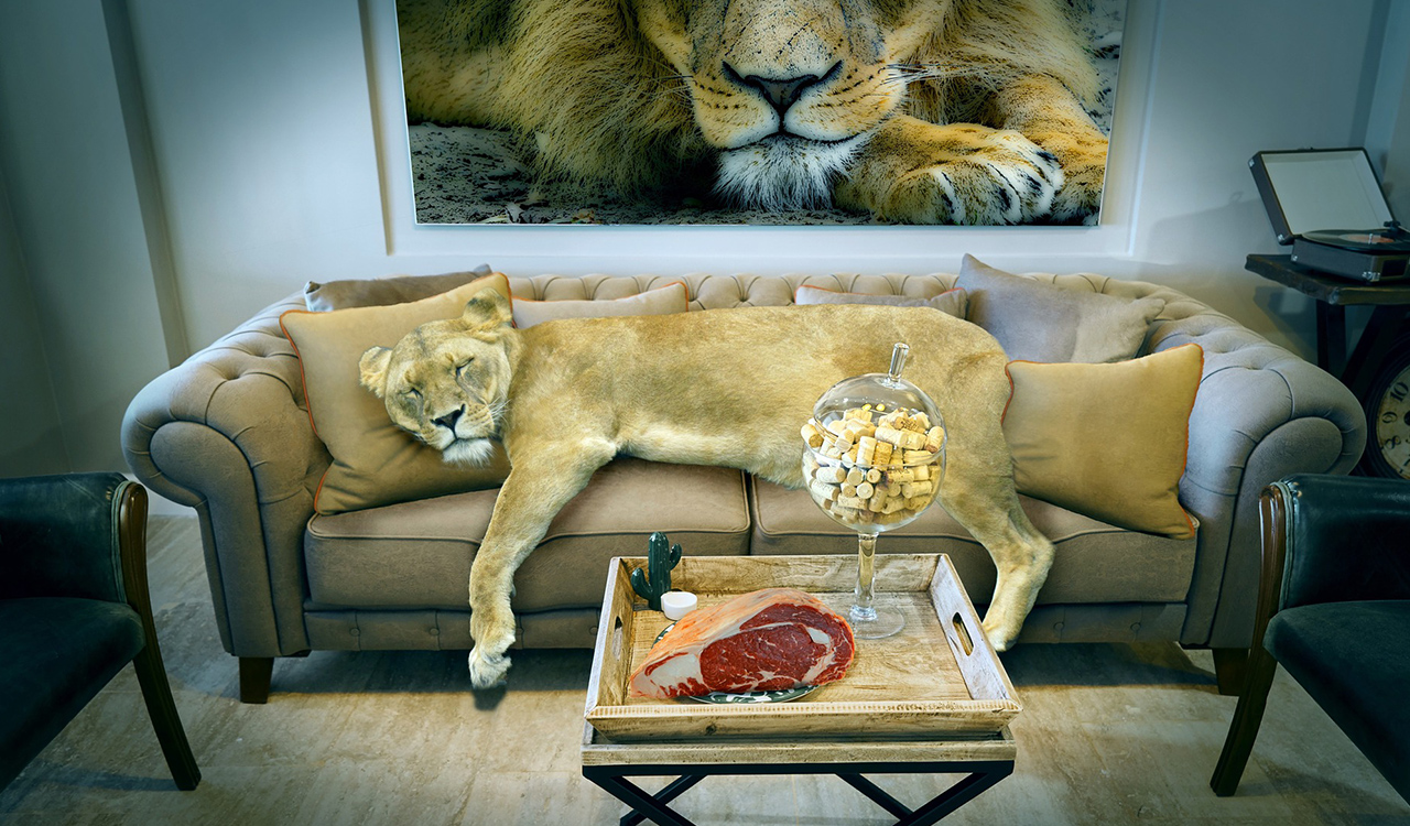 Haustiere-1 Haustiere-1