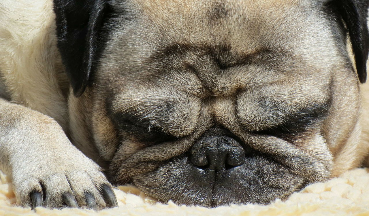 Wellenbildung Wellenbildung