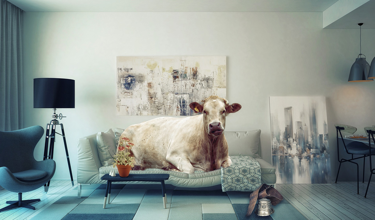 Belastbarkeiten-1 Belastbarkeiten-1